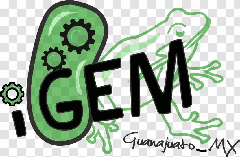 Guanajuato International Genetically Engineered Machine Logo Genetic Engineering Bacterial Disease - Skin Infection - Gto Transparent PNG