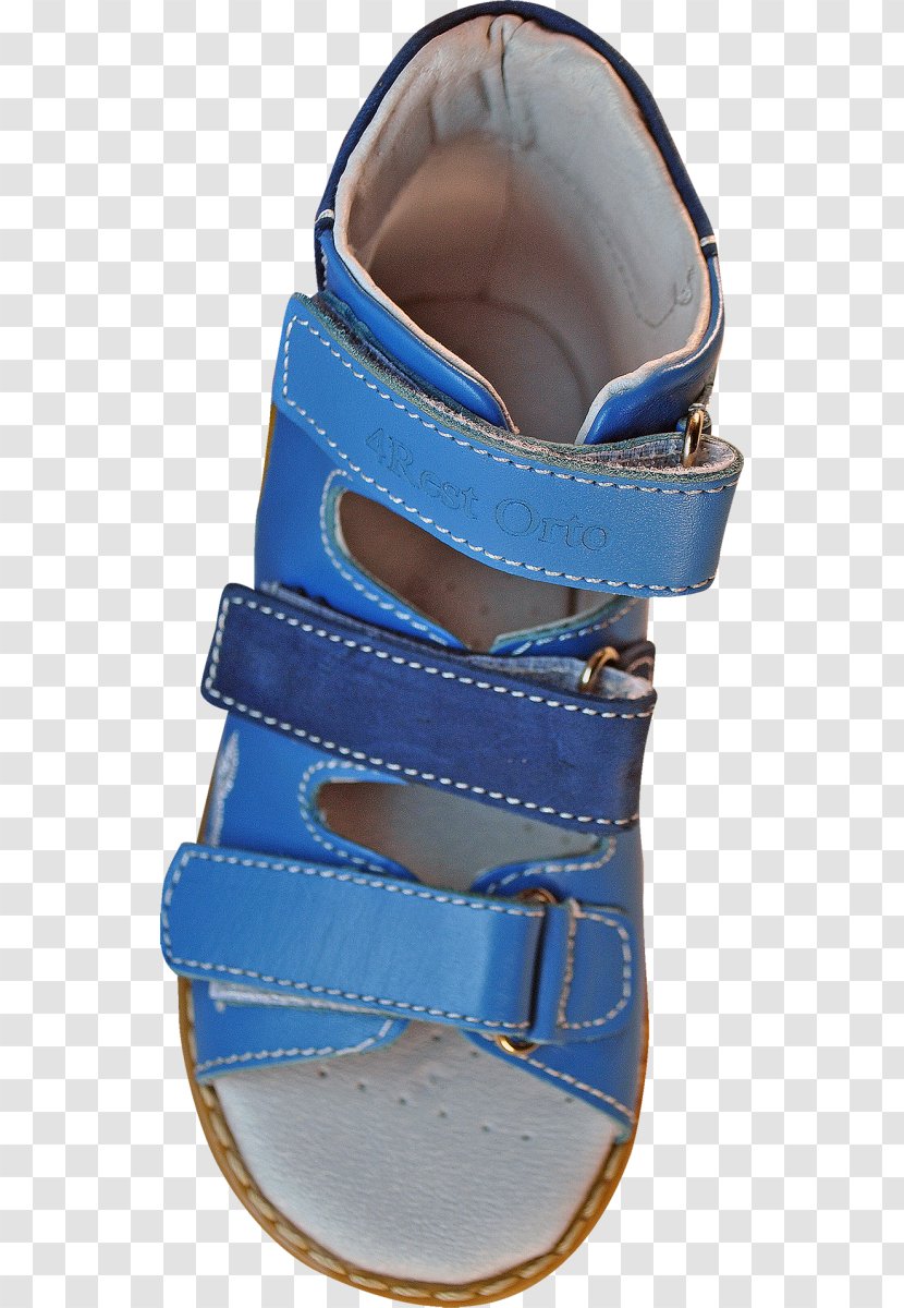 Sandal Shoe Strap Transparent PNG