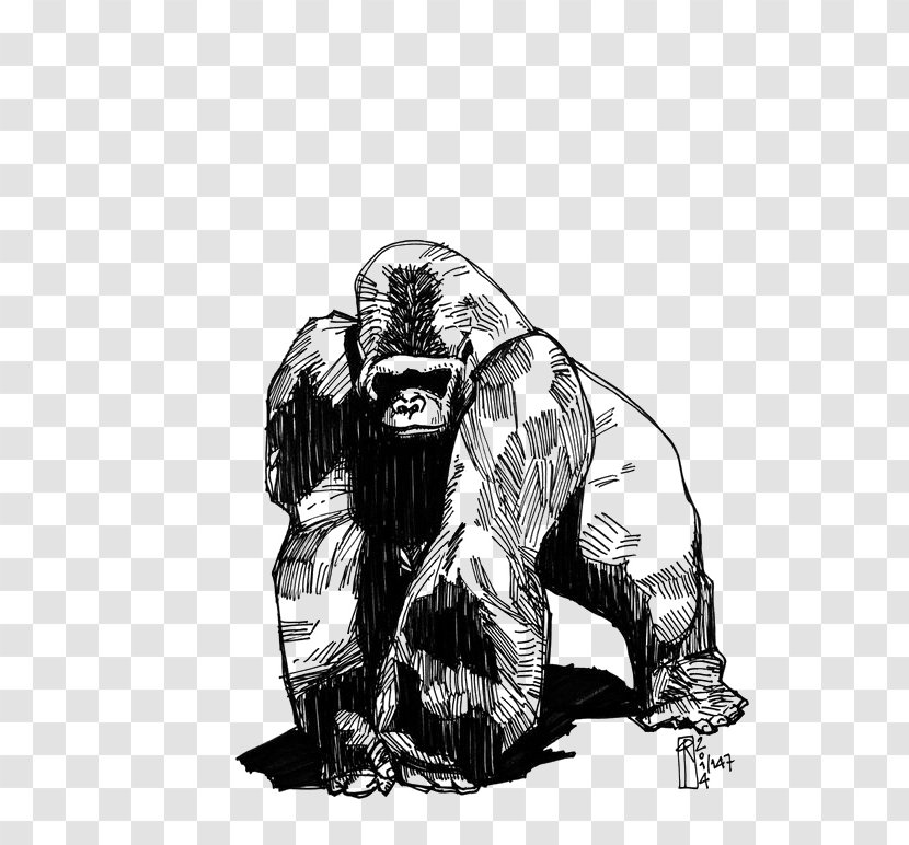 Western Gorilla Tattoo Phaeleh @ Drawing Groovanometry - Inker Transparent PNG