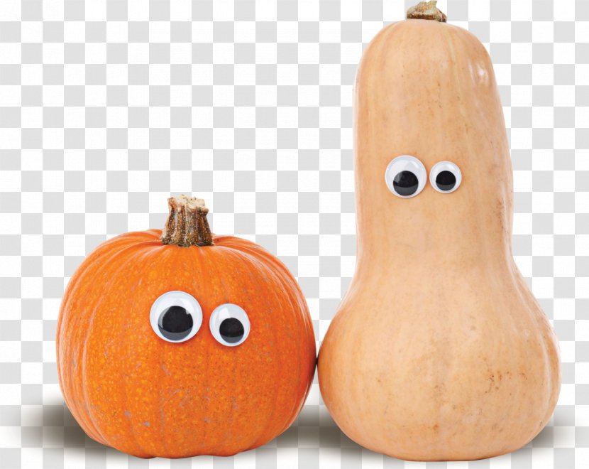 Cucurbita Butternut Squash Pumpkin Soup Gourd Transparent PNG