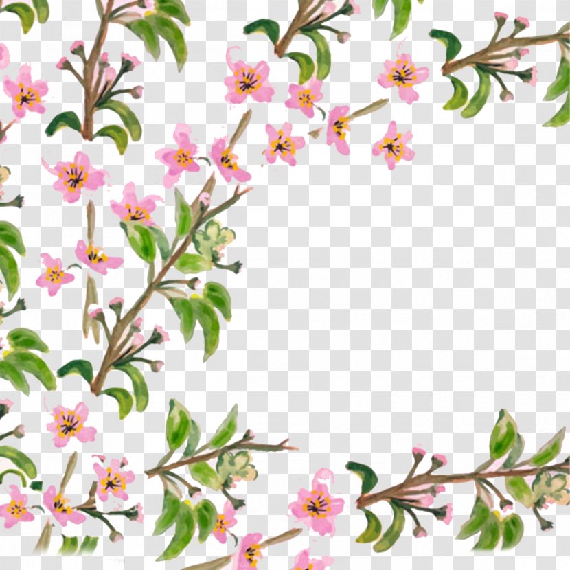 Flower Adobe Illustrator - Floral Design - Beautiful Hand-painted Cherry Trees Buckle Free Material Transparent PNG