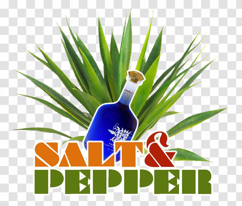 Logo Grasses Commodity Tree Font - Salt And Pepper Transparent PNG