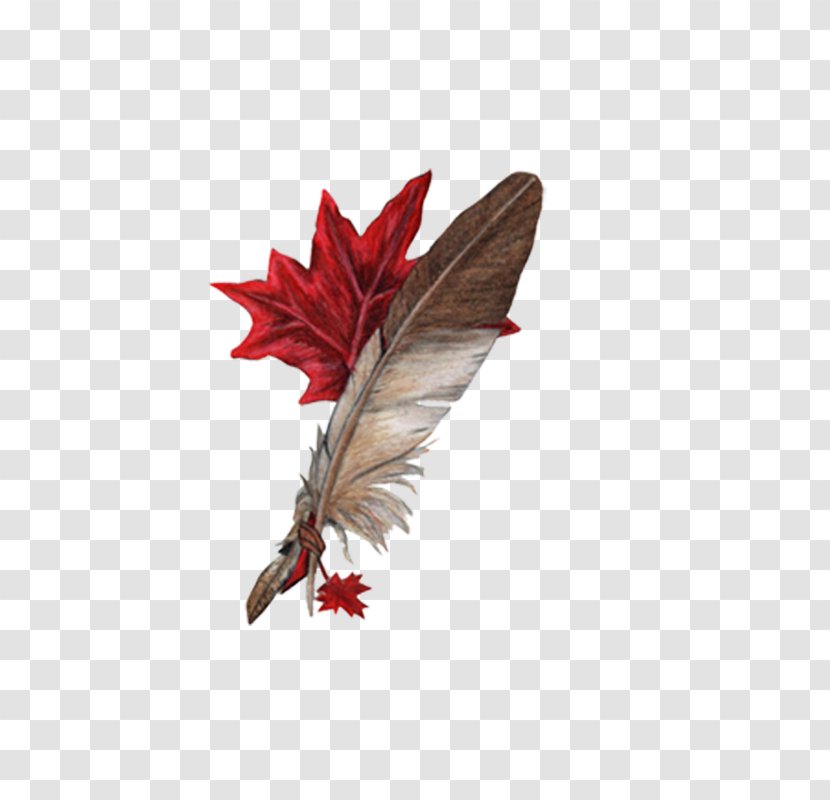 Clip Art - Layers - Related Feather Wings Transparent PNG