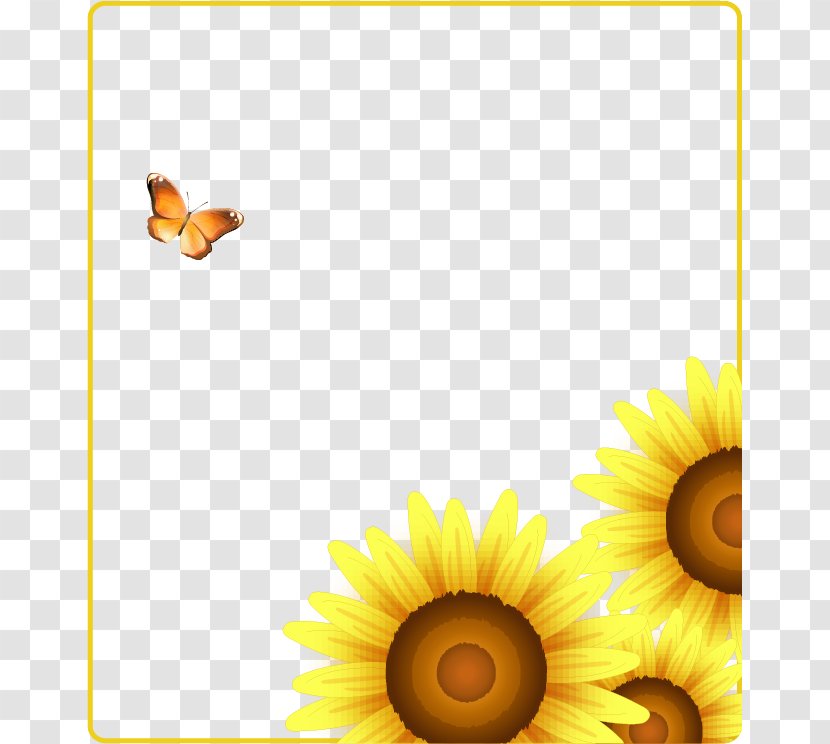 Common Sunflower - Flower - Korean Fashion Butterfly Pattern Decoration Sunflowers Transparent PNG
