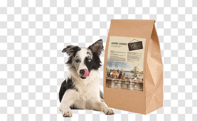 Dog Breed Border Collie Puppy Food Companion - Snout - Good Choice Transparent PNG