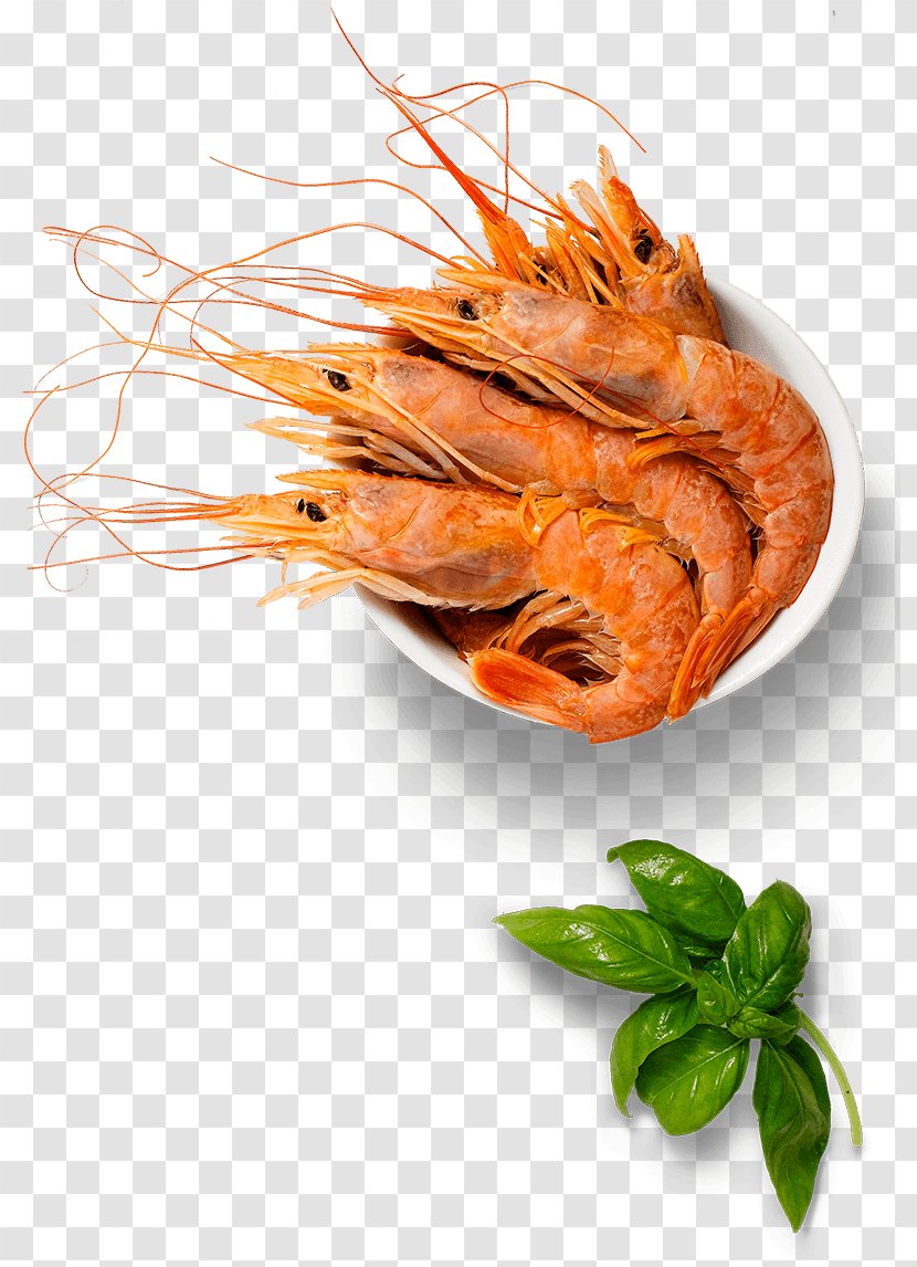 Caridea Prawns Recipe Dish Garnish - Shrimp Transparent PNG