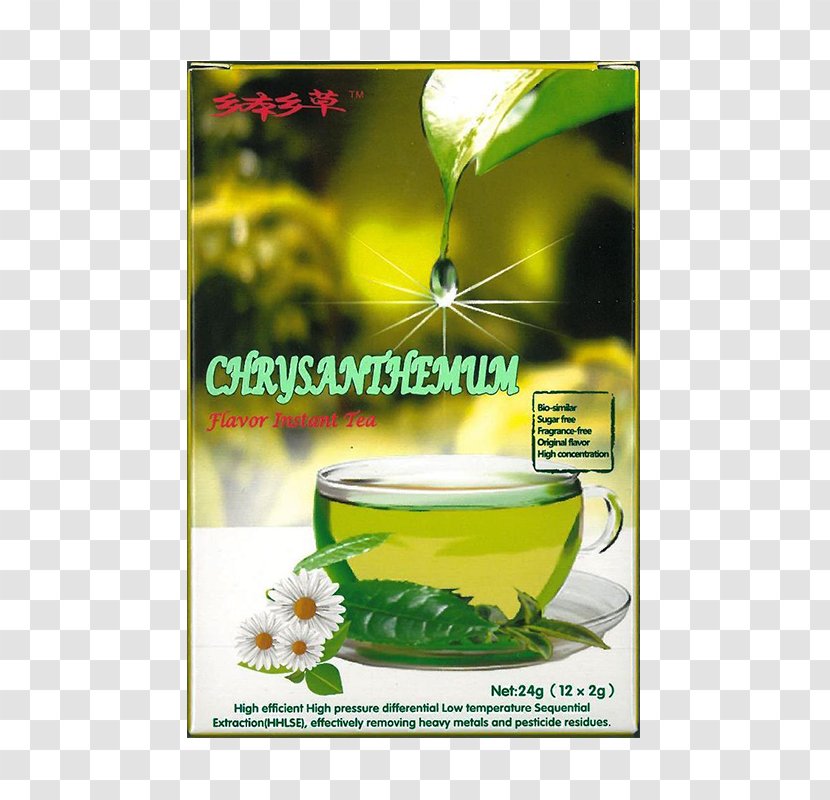 Green Tea Herbalism Flavor - Chrysanthemum Transparent PNG