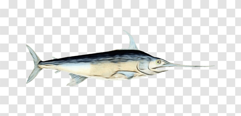 Bony Fishes Swordfish Tuna Oily Fish Sardine Transparent PNG