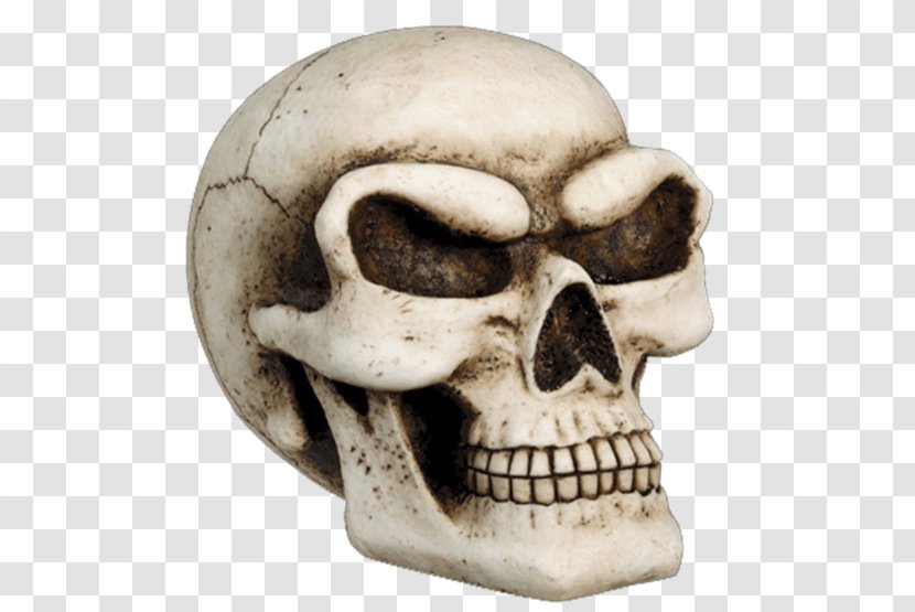 Skull Human Skeleton Bank Jaw - Bone Transparent PNG