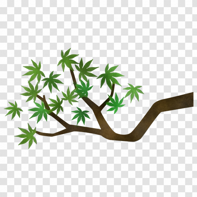 Maple Branch Maple Leaves Maple Tree Transparent PNG