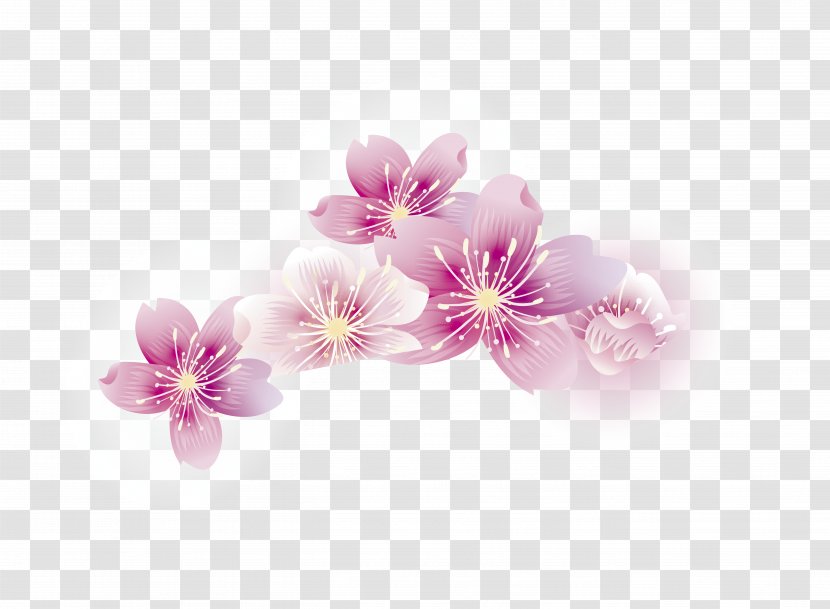 Cherry Blossom Stick Baseball Petal - Floristry - Peach Transparent PNG