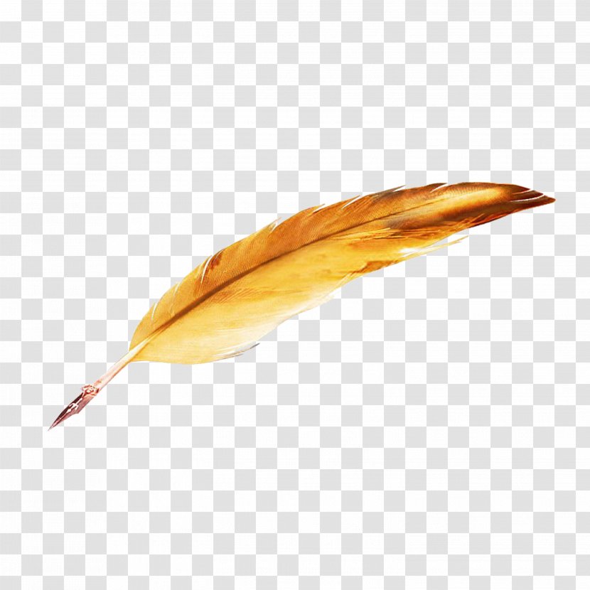 Pen Paper Quill - Feather Transparent PNG