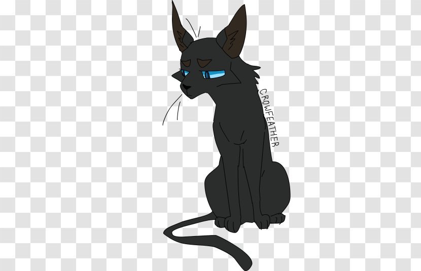 Black Cat Whiskers Warriors Art - Sleepy Word Design Transparent PNG