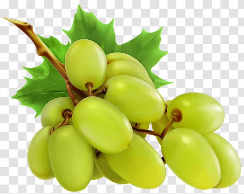 Wine Grape Raisin Food Fruit - White Grapes Cliparts Transparent PNG