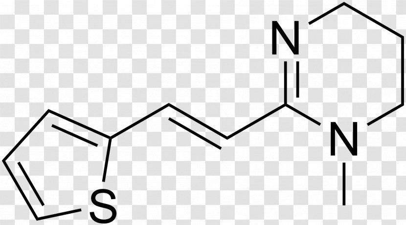 Worm Pyrantel Pharmaceutical Drug Anthelmintic Helminths - Monochrome Photography - Physical Structure Transparent PNG