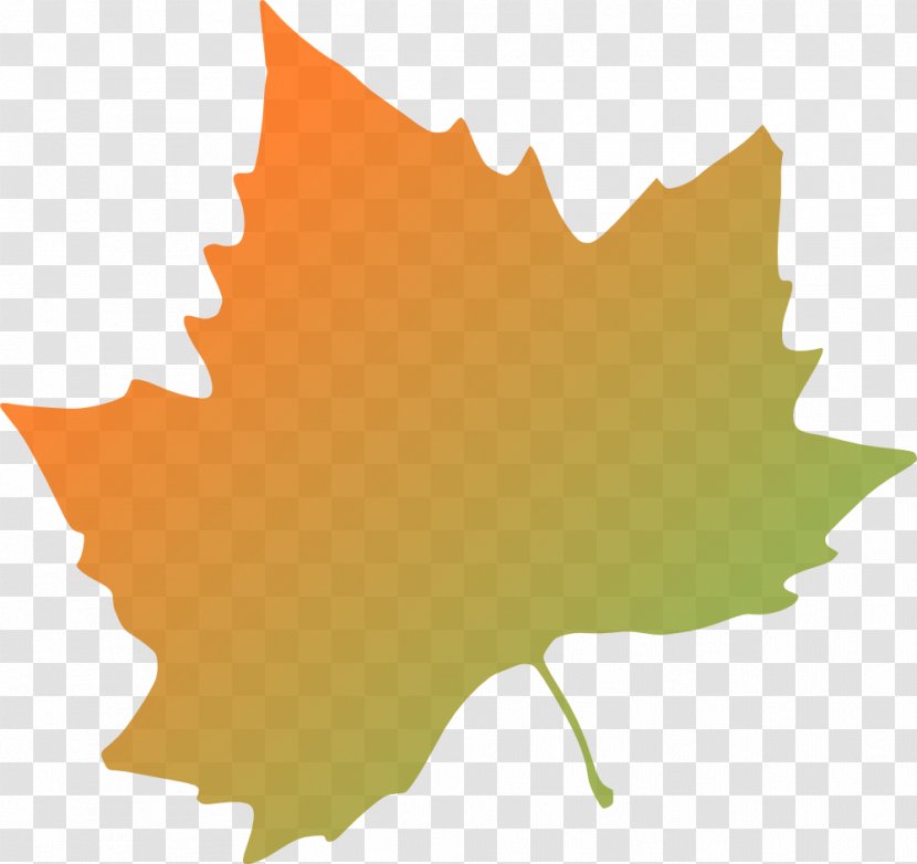 Autumn Leaf Color Clip Art - Fall Trees Clipart Transparent PNG