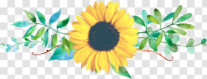 Common Sunflower Floral Design Cut Flowers - Petal - Valentine's Day Gift Petals Transparent PNG