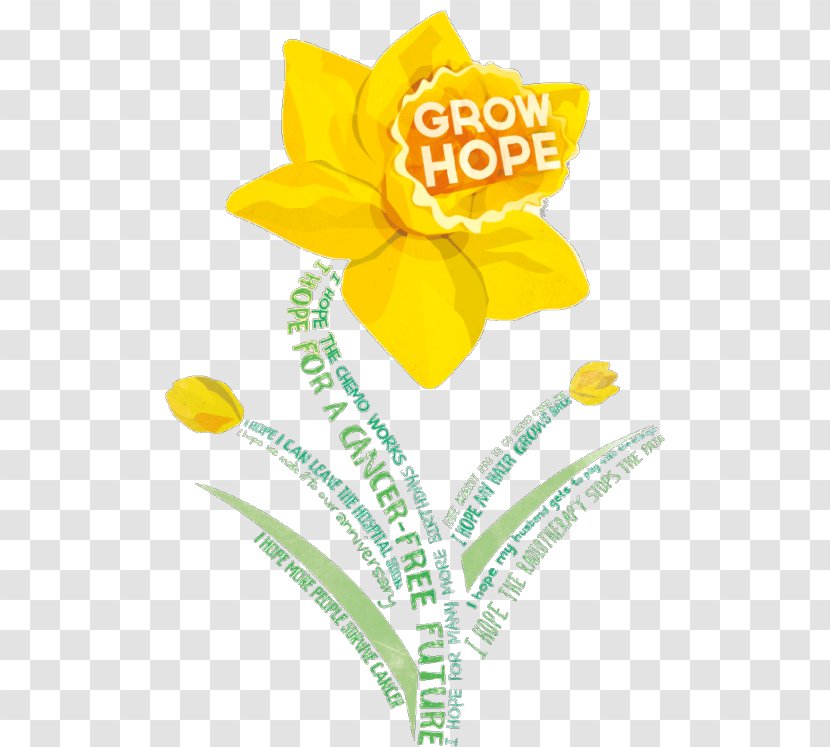 Relay For Life American Cancer Society Research Canadian - Irish - Mine Awareness Day Transparent PNG