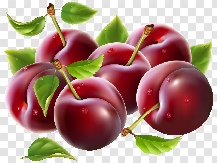 Cherry Fruit Clip Art - Acerola - Prunes Clipart Image Transparent PNG
