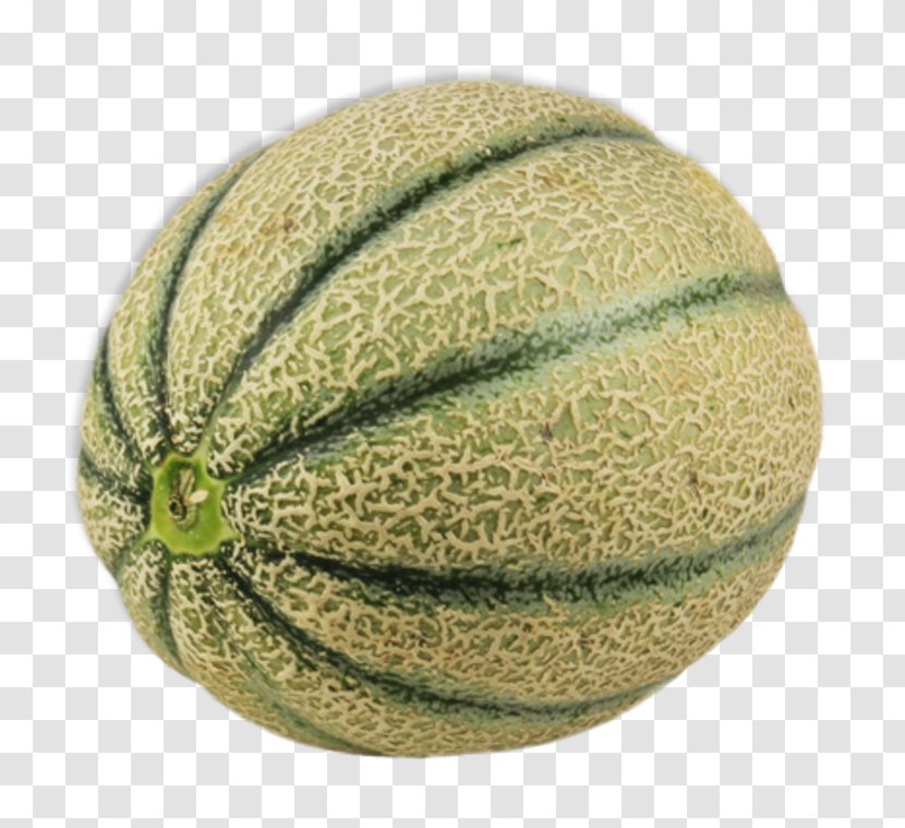 Honeydew Cantaloupe Melon Pumpkin Pregnancy - Galia Transparent PNG