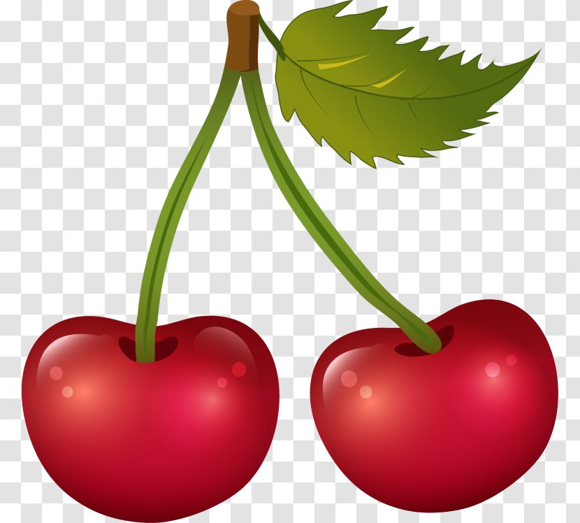 Cherry Food Cerasus Clip Art Transparent PNG
