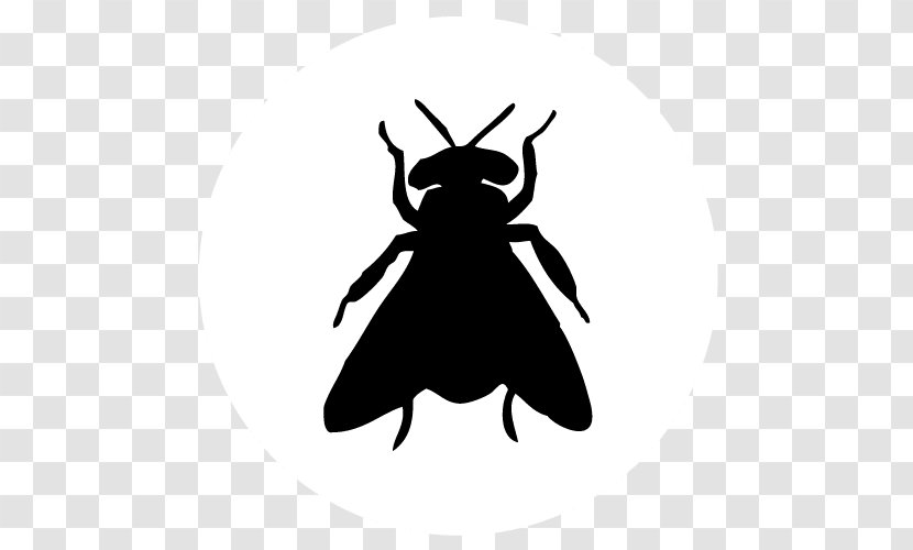 Bee Pest Control Wasp Millipedes Transparent PNG