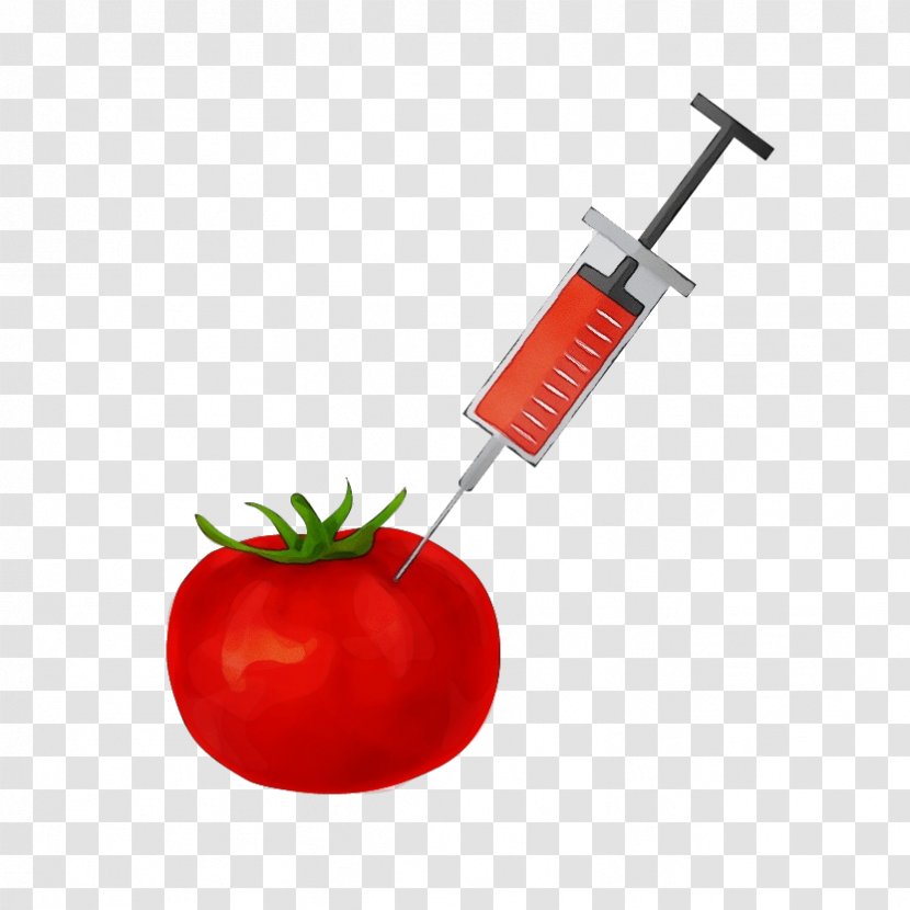 Tomato - Vegetarian Food - Cherry Tomatoes Transparent PNG