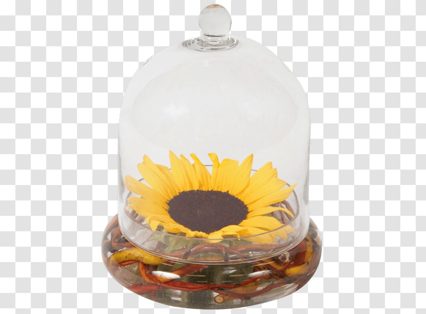 Common Sunflower Bud Garden Roses Vase - Sea - Floating Gift Transparent PNG