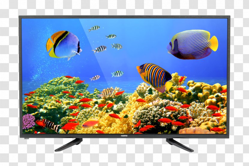 Desktop Wallpaper Retina Display Coral Reef MacBook Pro - Color Transparent PNG