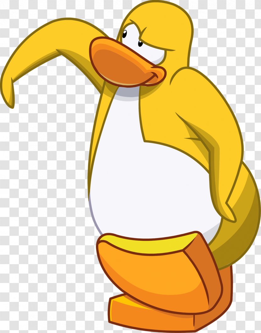 Club Penguin Water Bird Southern Rockhopper - Cartoon Transparent PNG