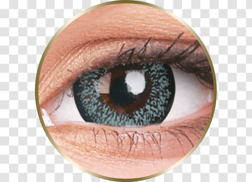 Contact Lenses Color Sclera Eye - Tree Transparent PNG