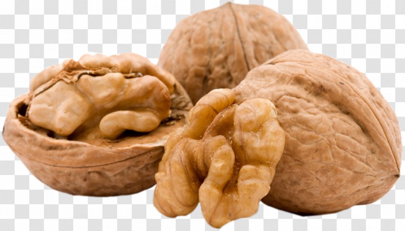 English Walnut Food - Nuts Seeds Transparent PNG