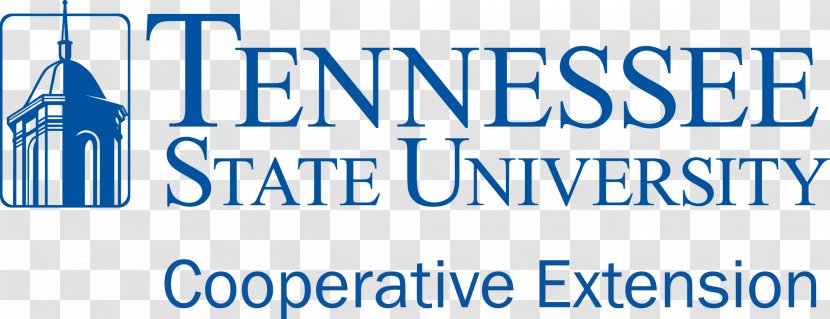 East Tennessee State University Historically Black Colleges And Universities Academic Degree - Public - Tsum Transparent PNG