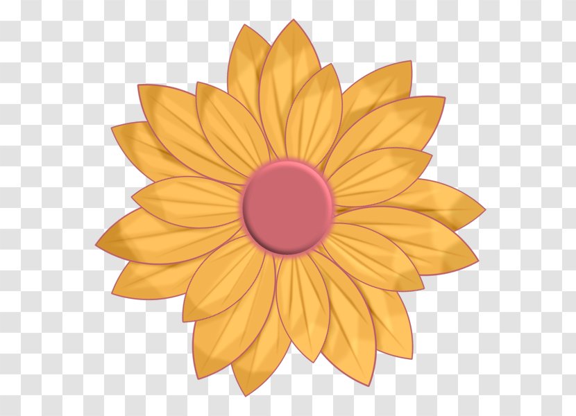 Clip Art Image Petal Flower Illustration - Gift - Floral Design Transparent PNG