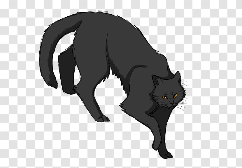 Midnight Cats Of The Clans Warriors Moonrise Stormfur - Snout - Graystripe Transparent PNG