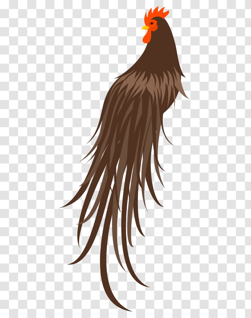 Rooster Chicken Bird Beak - As Food Transparent PNG