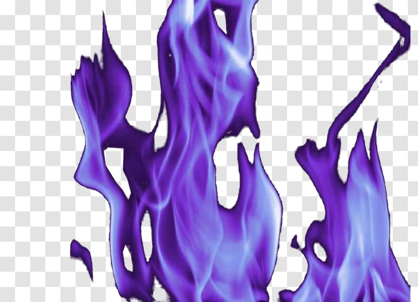 Purple Flame Violet - Cartoon Transparent PNG