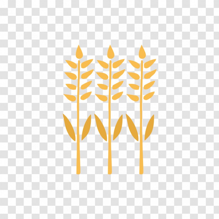 Wheat - Yellow - Three Transparent PNG