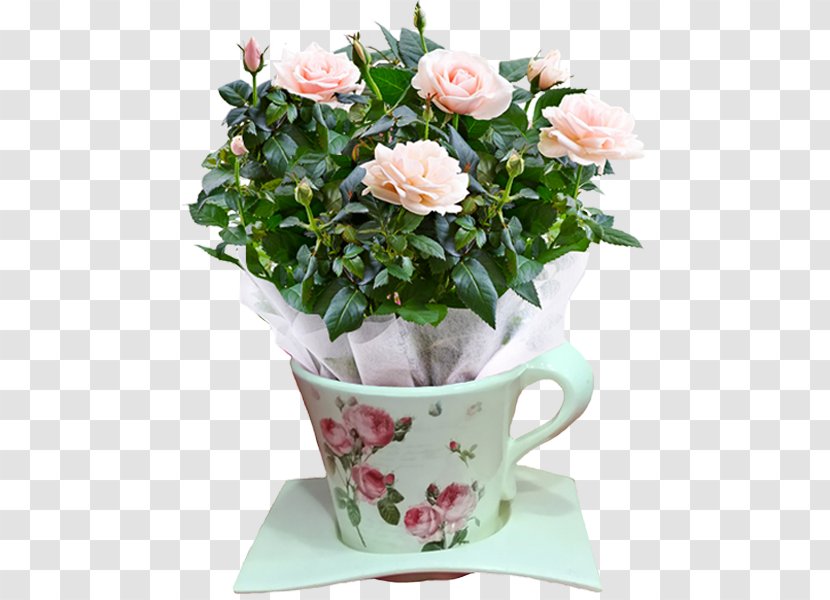 Garden Roses Cabbage Rose Cut Flowers Flowerpot - Floral Design - Flower Transparent PNG