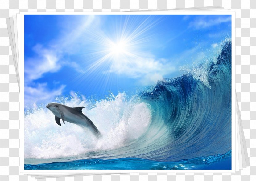 4K Resolution High-definition Television Desktop Wallpaper 1080p Ocean - 8k - Mar Transparent PNG