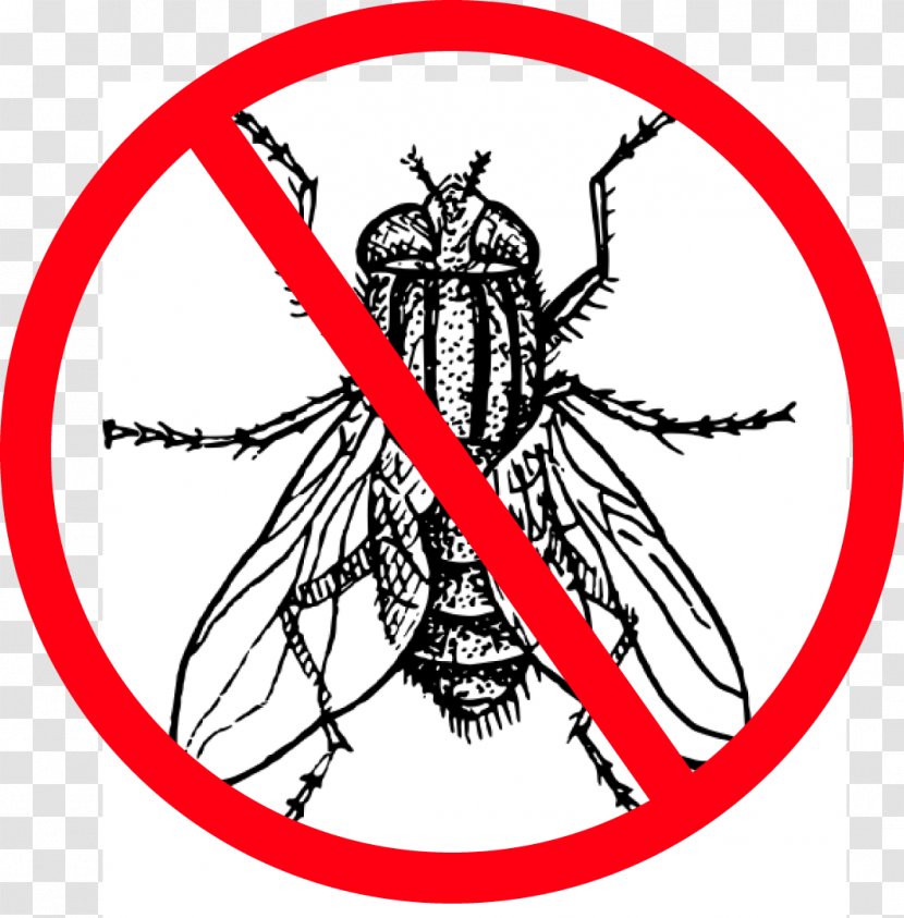 Insect Housefly Drawing Clip Art - Cartoon - No. 1 Transparent PNG