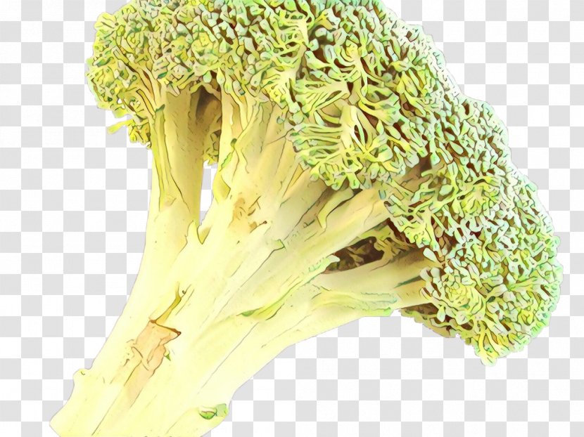 Broccoli Vegetarian Cuisine Fennel Herb Food - Commodity - Flower Leaf Vegetable Transparent PNG