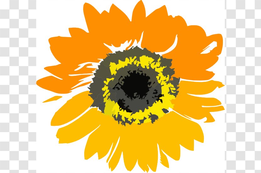 Common Sunflower Educare Center Clip Art - Daisy Family - Border Transparent PNG