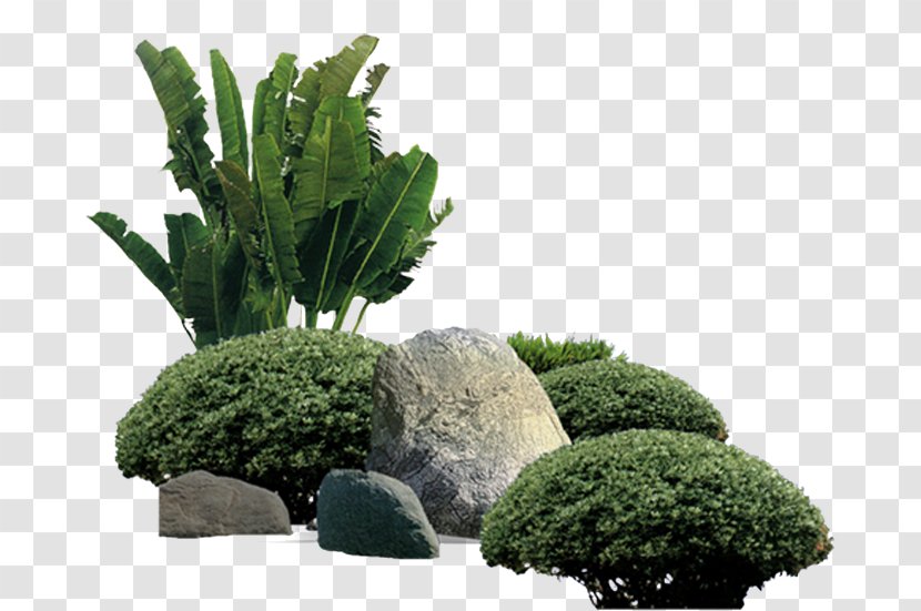 Garden U5eadu77f3 Landscape - Park Rockery Transparent PNG