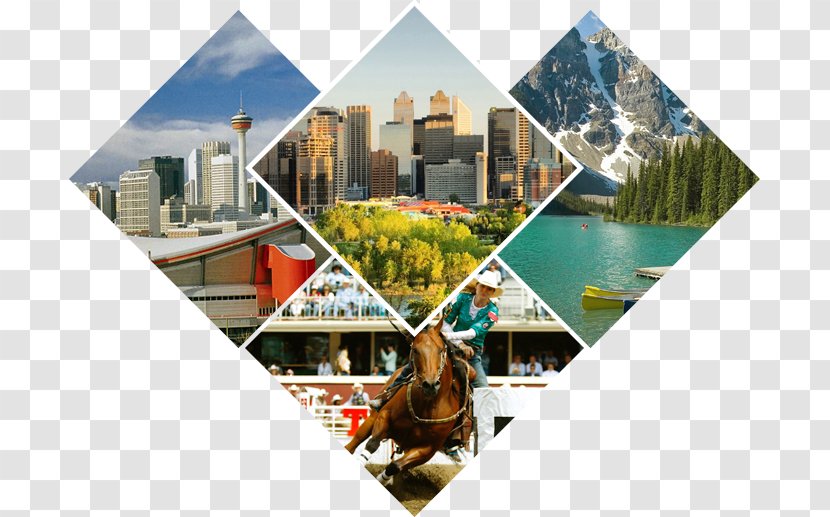 Downtown Calgary Collage Real Estate Tourism - Study In Canada Transparent PNG