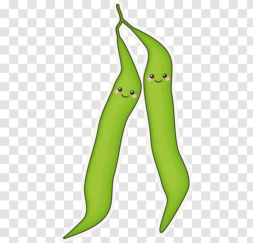 Green Bean Clip Art Vegetable Drawing - Organism - Duplication Cartoon Transparent PNG