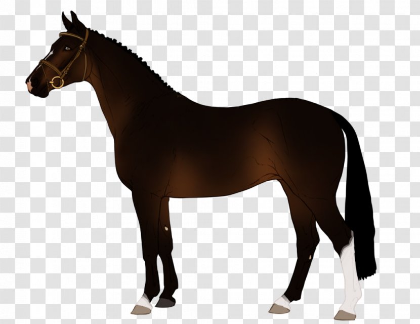 Drawing Stallion Arabian Horse Zazzle - Pillow - Design Transparent PNG