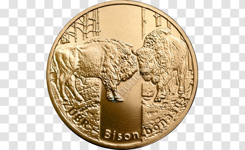 Coin Sovereign Poland Monety Okolicznościowe 2 Złote Lada Vesta Transparent PNG