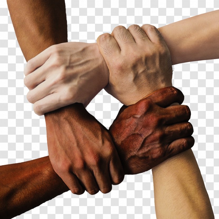 Racism Anti-discrimination Law Race Prejudice - Discrimination Transparent PNG