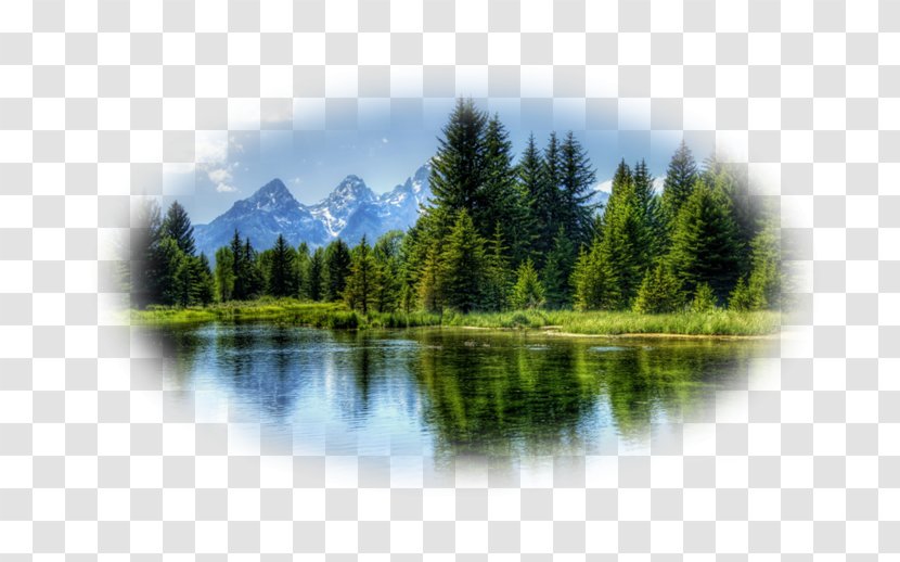 Landscape Painting Water Nature Cloud - Mount Scenery Transparent PNG